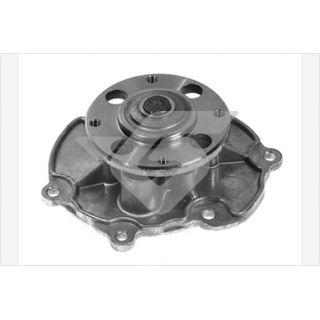 Vandens siurblys, variklio aušinimas HUTCHINSON WP334