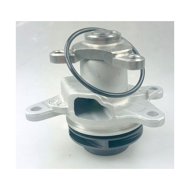 Vandens siurblys, variklio aušinimas HUTCHINSON WP379