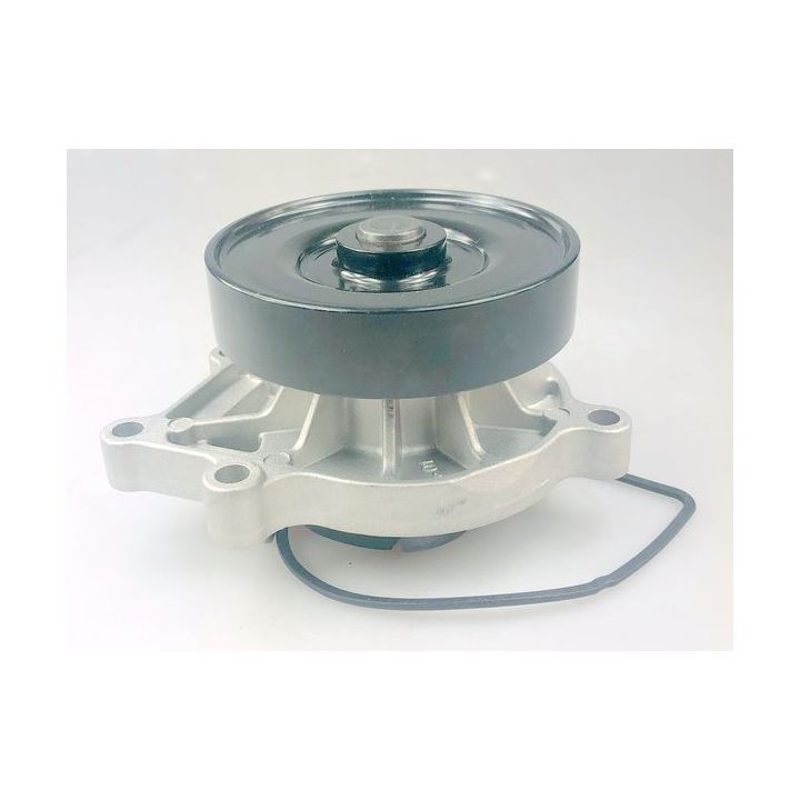 Vandens siurblys, variklio aušinimas HUTCHINSON WP381