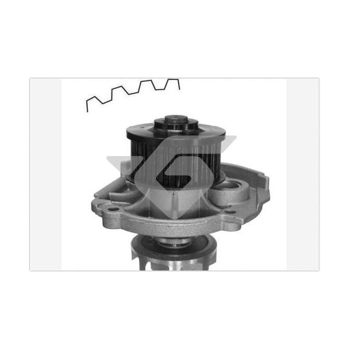 Vandens siurblys, variklio aušinimas HUTCHINSON WP39