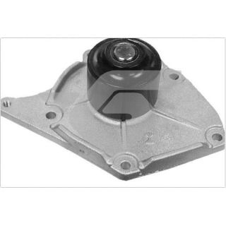 Vandens siurblys, variklio aušinimas HUTCHINSON WP45