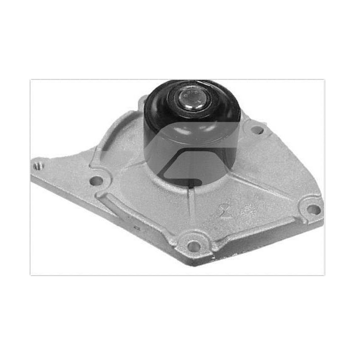 Vandens siurblys, variklio aušinimas HUTCHINSON WP45