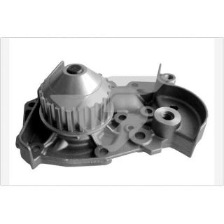 Vandens siurblys, variklio aušinimas HUTCHINSON WP53