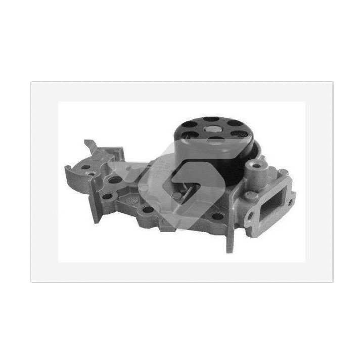 Vandens siurblys, variklio aušinimas HUTCHINSON WP65