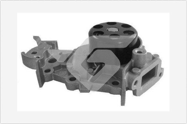 Vandens siurblys, variklio aušinimas HUTCHINSON WP65