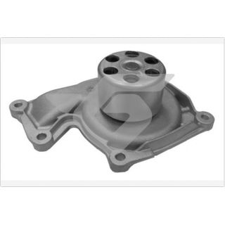 Vandens siurblys, variklio aušinimas HUTCHINSON WP78