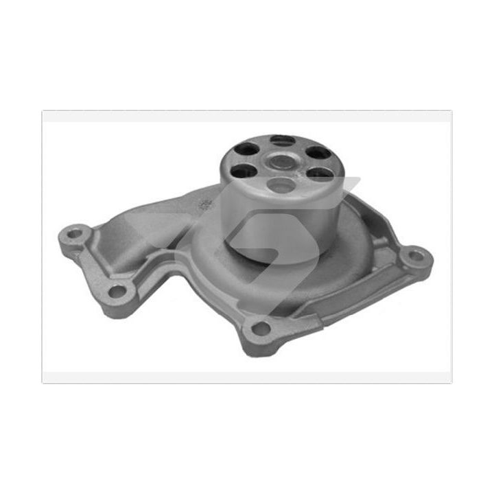 Vandens siurblys, variklio aušinimas HUTCHINSON WP78