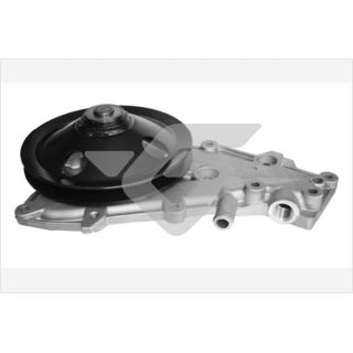 Vandens siurblys, variklio aušinimas HUTCHINSON WP81