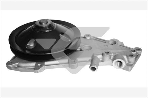 Vandens siurblys, variklio aušinimas HUTCHINSON WP81