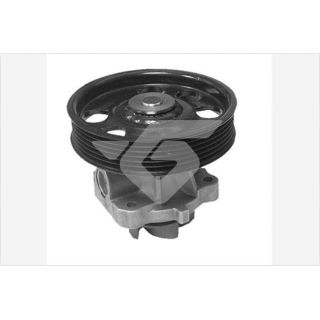 Vandens siurblys, variklio aušinimas HUTCHINSON WP92