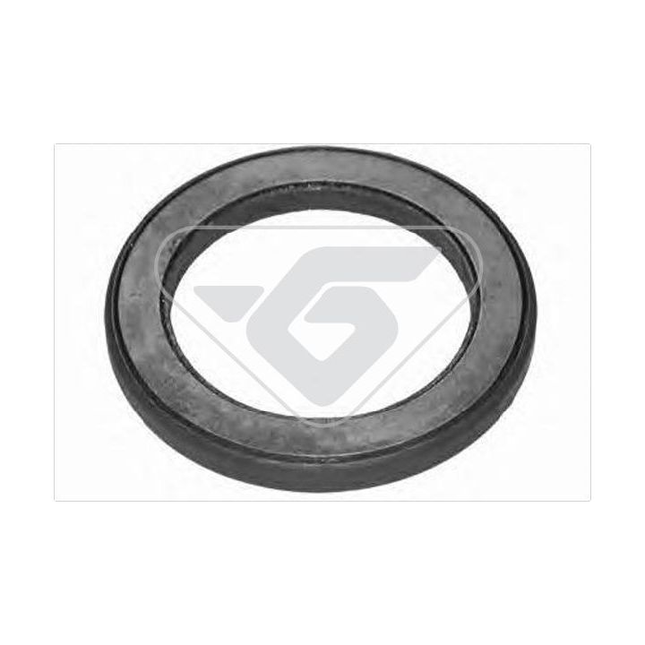 Frikcinis guolis, pakabos statramsčio atramos montavimas HUTCHINSON 200013