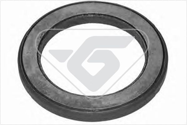 Frikcinis guolis, pakabos statramsčio atramos montavimas HUTCHINSON 200013