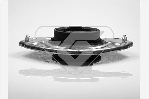 Frikcinis guolis, pakabos statramsčio atramos montavimas HUTCHINSON 200016