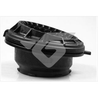 Frikcinis guolis, pakabos statramsčio atramos montavimas HUTCHINSON 200074