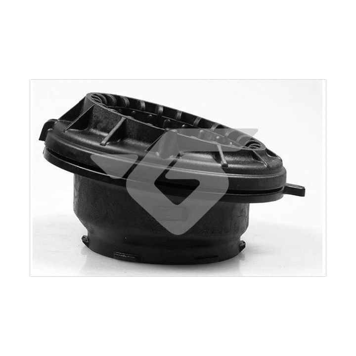 Frikcinis guolis, pakabos statramsčio atramos montavimas HUTCHINSON 200074