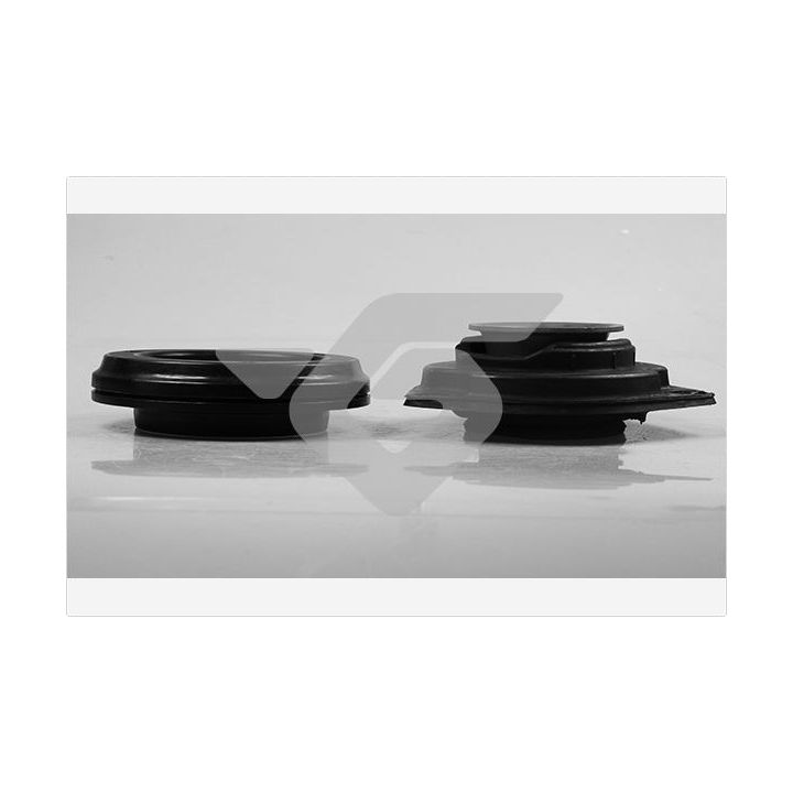 Remonto komplektas, pakabos statramstis HUTCHINSON KS 202