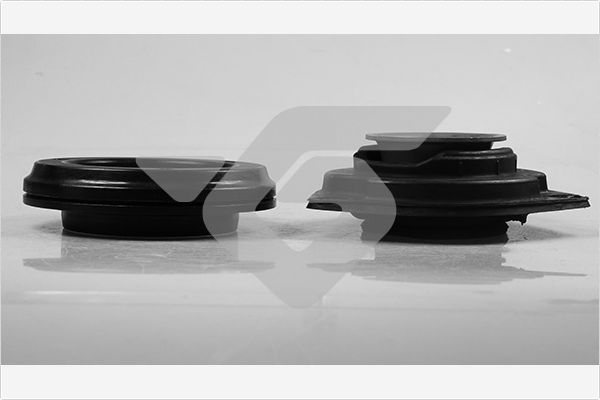 Remonto komplektas, pakabos statramstis HUTCHINSON KS 202