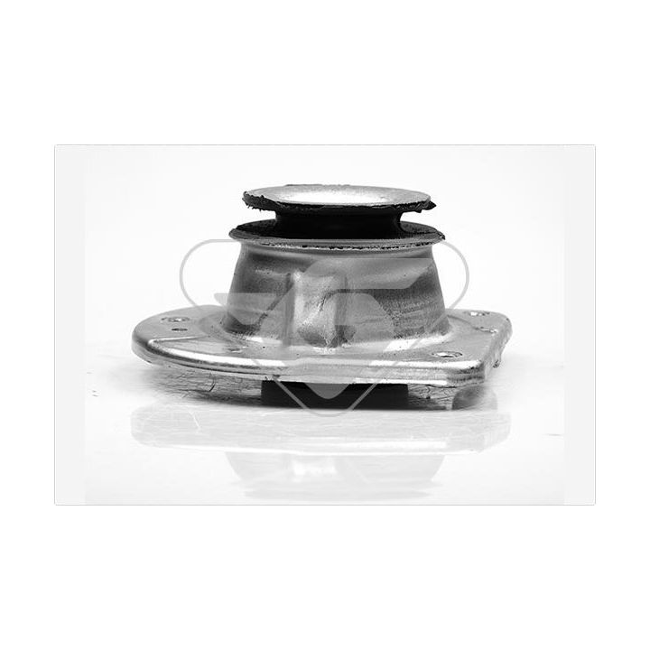 Remonto komplektas, pakabos statramstis HUTCHINSON KS 50