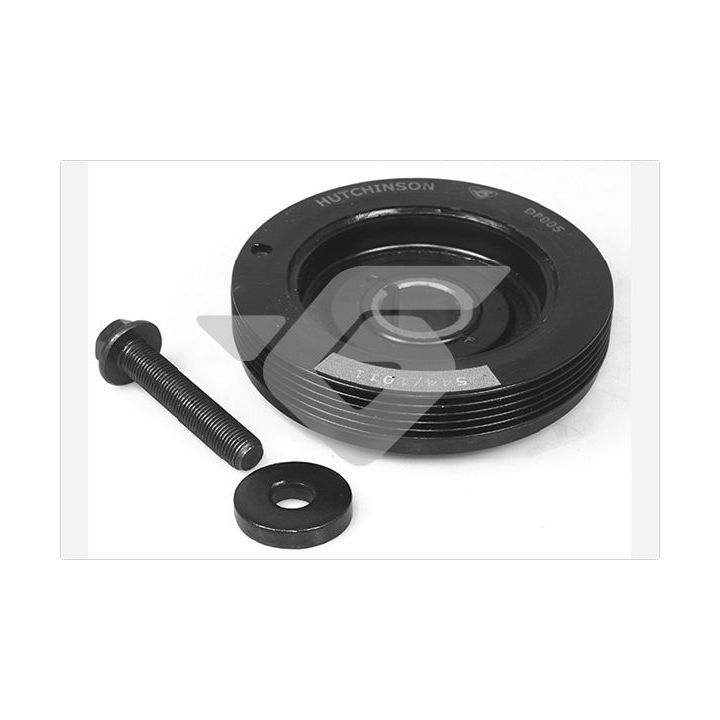 Skriemulys, alkūninis velenas HUTCHINSON DP005S