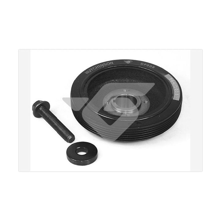 Skriemulys, alkūninis velenas HUTCHINSON DP008S