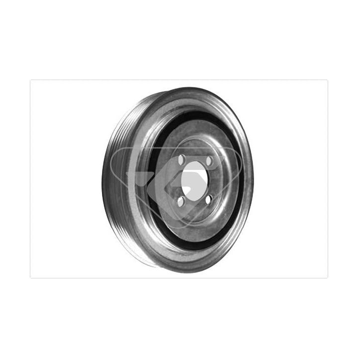 Skriemulys, alkūninis velenas HUTCHINSON DP025