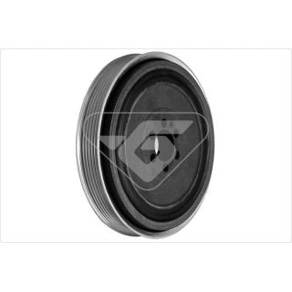 Skriemulys, alkūninis velenas HUTCHINSON DP026