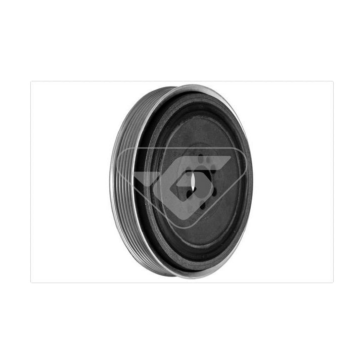 Skriemulys, alkūninis velenas HUTCHINSON DP026