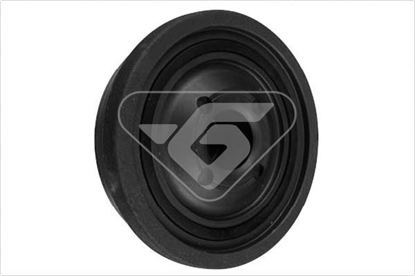 Skriemulys, alkūninis velenas HUTCHINSON DP030