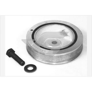 Skriemulys, alkūninis velenas HUTCHINSON DP035S