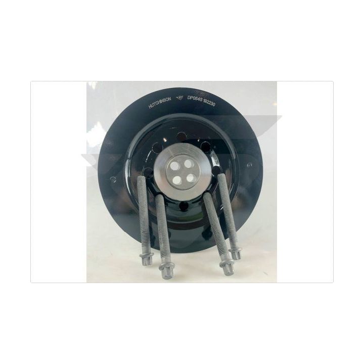 Skriemulys, alkūninis velenas HUTCHINSON DP054S