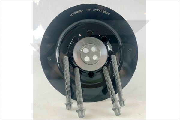 Skriemulys, alkūninis velenas HUTCHINSON DP054S