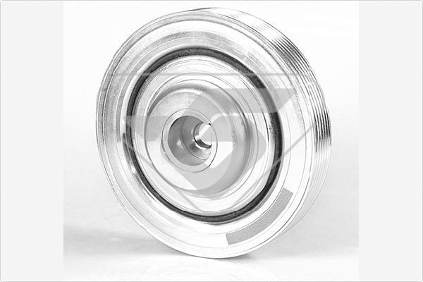 Skriemulys, alkūninis velenas HUTCHINSON DP074