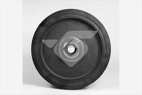 Skriemulys, alkūninis velenas HUTCHINSON DP108