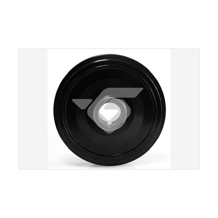 Skriemulys, alkūninis velenas HUTCHINSON DP113