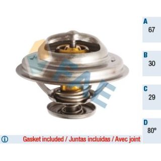 Termostatas, aušinimo skystis FAE 5301680