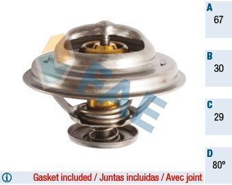 Termostatas, aušinimo skystis FAE 5301680