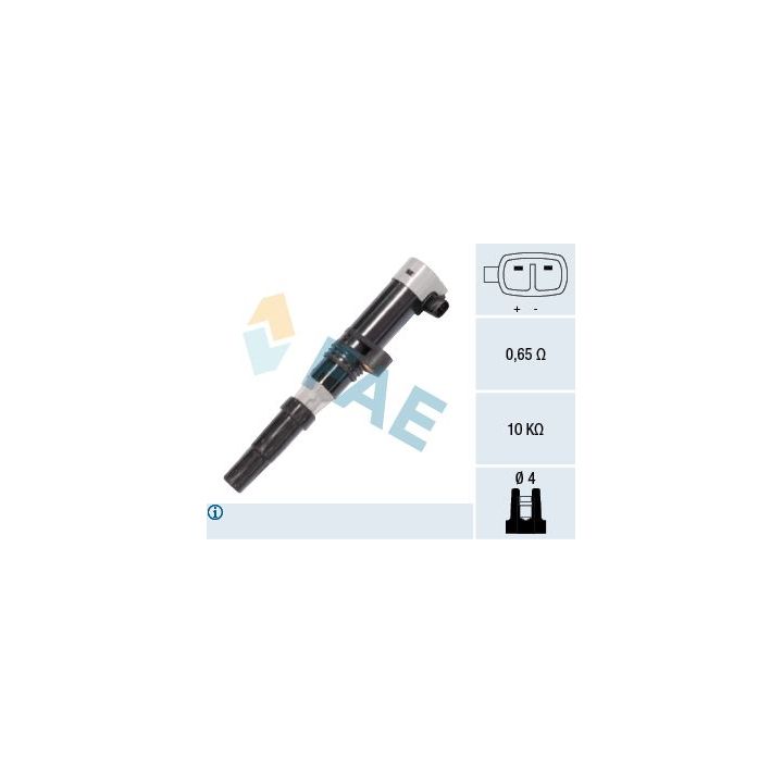 Ritė, uždegimas FAE 80203