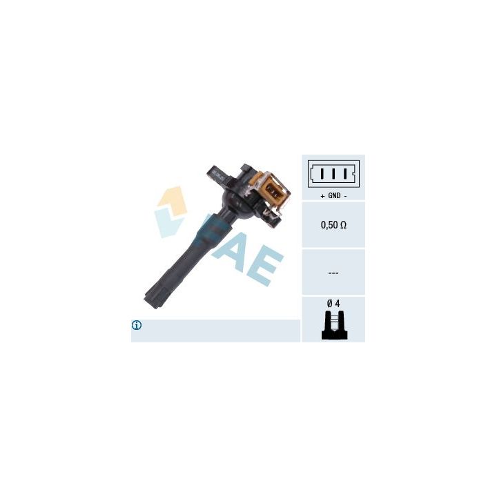 Ritė, uždegimas FAE 80216