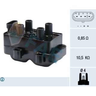 Ritė, uždegimas FAE 80222