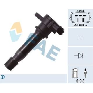 Ritė, uždegimas FAE 80228