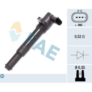 Ritė, uždegimas FAE 80233