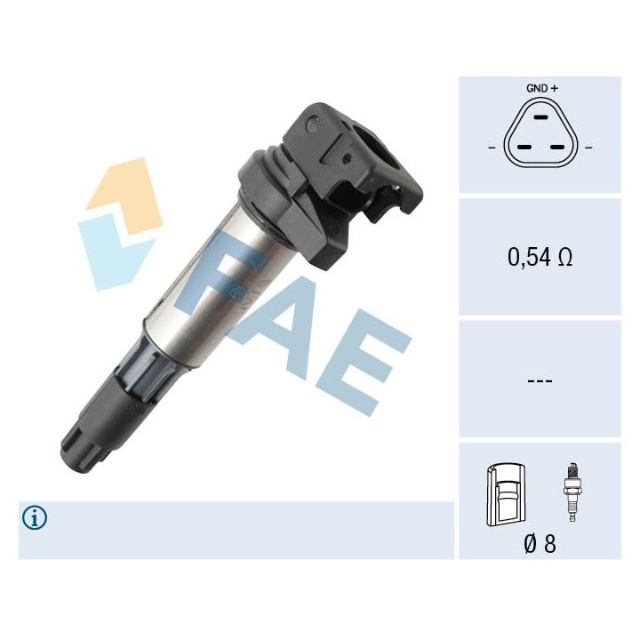 Ritė, uždegimas FAE 80247