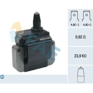 Ritė, uždegimas FAE 80250