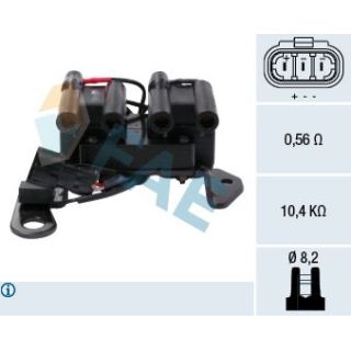 Ritė, uždegimas FAE 80253