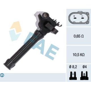 Ritė, uždegimas FAE 80254