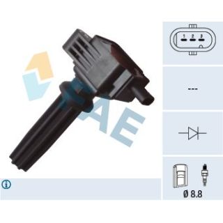 Ritė, uždegimas FAE 80255