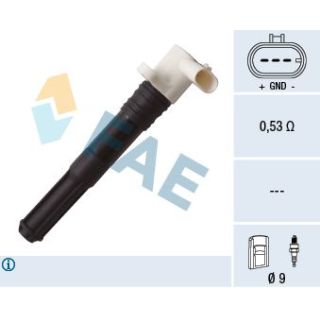 Ritė, uždegimas FAE 80266