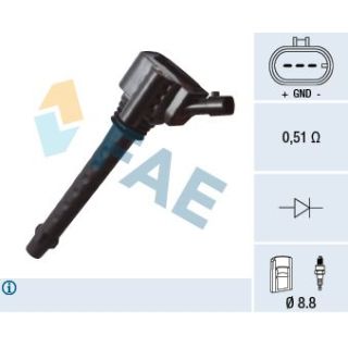 Ritė, uždegimas FAE 80267