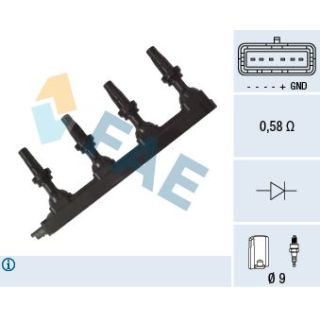 Ritė, uždegimas FAE 80271