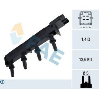 Ritė, uždegimas FAE 80275